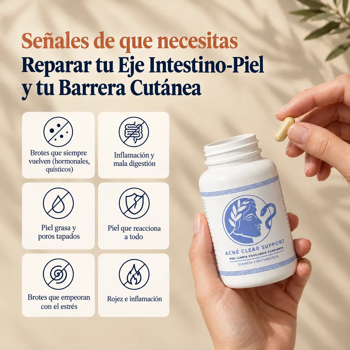 Sistema Griego AntiAcne